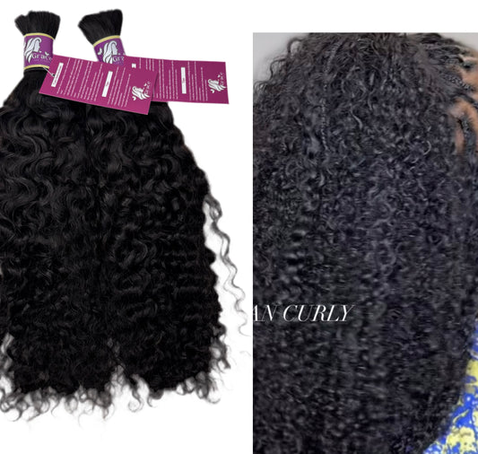 Raw Burmese  curls